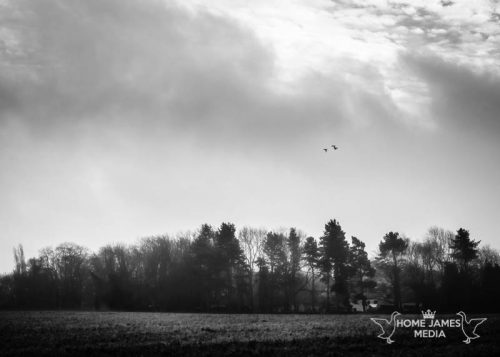 Lincolnshire Landscape of Silhouetted Woodland Near Redbourne Hall | Lincolnshire Landscape Photography by Robin Ling