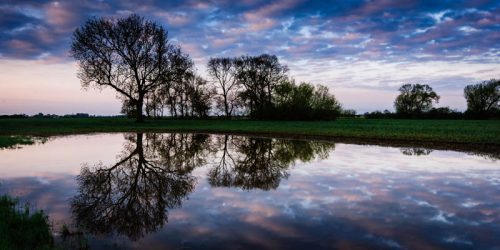 Sunrise at the Spinney Lincolnshire Landscape Photography by Robin Ling