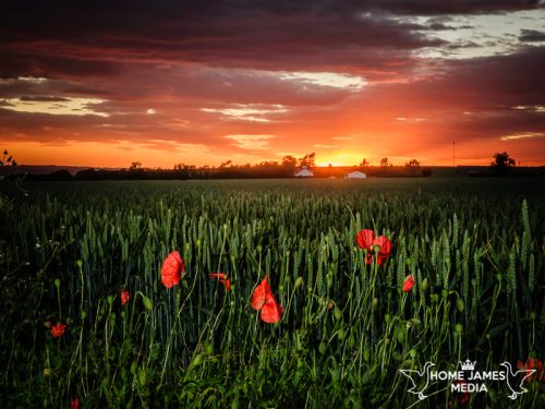 Worlaby Wold Tops at Sunset | Lincolnshire Landscape Photography by Robin Ling